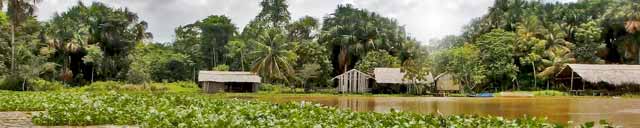 Warao-Gemeinschaft im Fluss-System des Orinoco-Delta