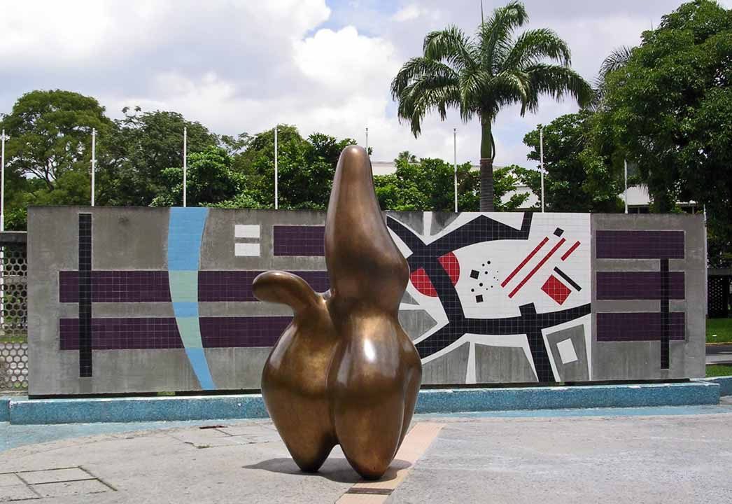 Risultati immagini per università centrale del venezuela