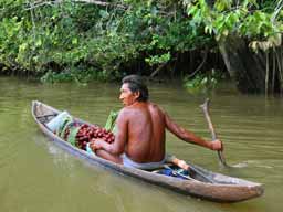 Orinoco Delta