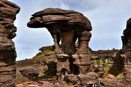 Roraima “Elefant”