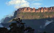 Auyan-tepui viewed from Campo Uruyen