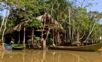 The Orinoco Eco Camp