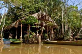 Eco Camp in the Orinoco Delta